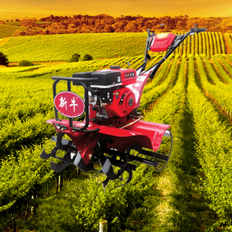 头玩电脑版下载